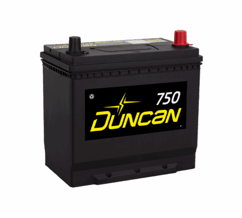 DUNCAN 45R-750 / 22NF