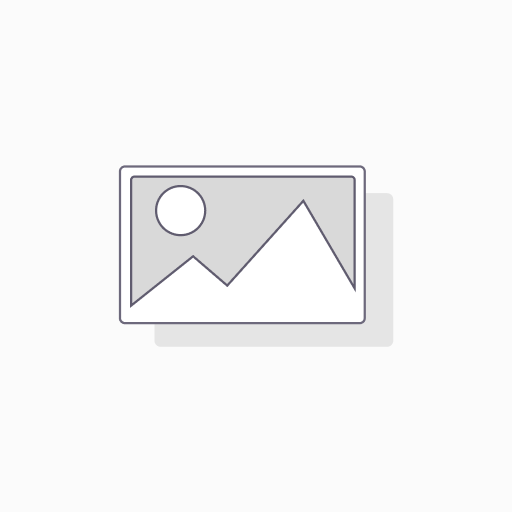 PDV DEXRON 3 1LT